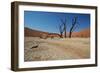 The Dead Acacia Trees of Deadvlei at Sunrise-Alex Saberi-Framed Premium Photographic Print