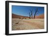 The Dead Acacia Trees of Deadvlei at Sunrise-Alex Saberi-Framed Premium Photographic Print