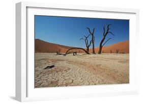 The Dead Acacia Trees of Deadvlei at Sunrise-Alex Saberi-Framed Premium Photographic Print