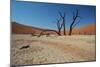 The Dead Acacia Trees of Deadvlei at Sunrise-Alex Saberi-Mounted Premium Photographic Print