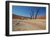 The Dead Acacia Trees of Deadvlei at Sunrise-Alex Saberi-Framed Photographic Print