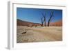 The Dead Acacia Trees of Deadvlei at Sunrise-Alex Saberi-Framed Photographic Print