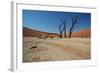 The Dead Acacia Trees of Deadvlei at Sunrise-Alex Saberi-Framed Photographic Print