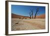 The Dead Acacia Trees of Deadvlei at Sunrise-Alex Saberi-Framed Photographic Print