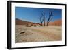 The Dead Acacia Trees of Deadvlei at Sunrise-Alex Saberi-Framed Photographic Print