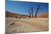 The Dead Acacia Trees of Deadvlei at Sunrise-Alex Saberi-Mounted Photographic Print
