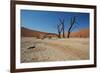 The Dead Acacia Trees of Deadvlei at Sunrise-Alex Saberi-Framed Photographic Print