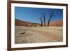 The Dead Acacia Trees of Deadvlei at Sunrise-Alex Saberi-Framed Photographic Print