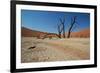 The Dead Acacia Trees of Deadvlei at Sunrise-Alex Saberi-Framed Photographic Print