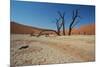 The Dead Acacia Trees of Deadvlei at Sunrise-Alex Saberi-Mounted Photographic Print