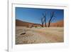 The Dead Acacia Trees of Deadvlei at Sunrise-Alex Saberi-Framed Photographic Print