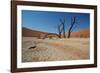 The Dead Acacia Trees of Deadvlei at Sunrise-Alex Saberi-Framed Photographic Print
