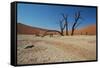 The Dead Acacia Trees of Deadvlei at Sunrise-Alex Saberi-Framed Stretched Canvas