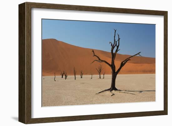 The Dead Acacia Trees of Deadvlei at Sunrise-Alex Saberi-Framed Photographic Print