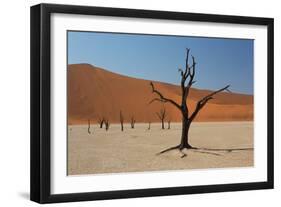 The Dead Acacia Trees of Deadvlei at Sunrise-Alex Saberi-Framed Photographic Print