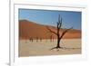 The Dead Acacia Trees of Deadvlei at Sunrise-Alex Saberi-Framed Photographic Print