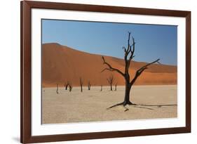 The Dead Acacia Trees of Deadvlei at Sunrise-Alex Saberi-Framed Photographic Print