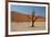 The Dead Acacia Trees of Deadvlei at Sunrise-Alex Saberi-Framed Photographic Print