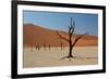 The Dead Acacia Trees of Deadvlei at Sunrise-Alex Saberi-Framed Photographic Print