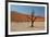 The Dead Acacia Trees of Deadvlei at Sunrise-Alex Saberi-Framed Photographic Print