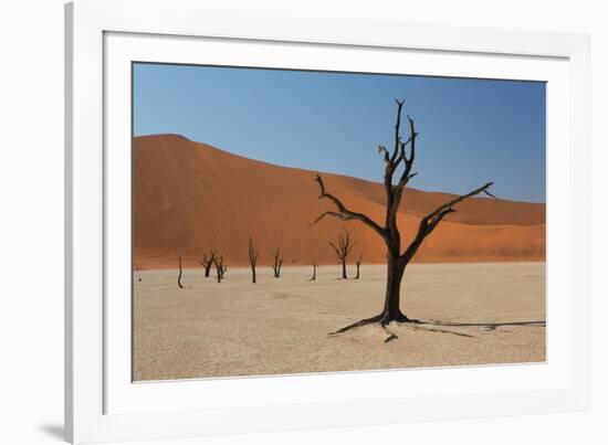 The Dead Acacia Trees of Deadvlei at Sunrise-Alex Saberi-Framed Photographic Print