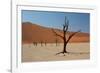 The Dead Acacia Trees of Deadvlei at Sunrise-Alex Saberi-Framed Photographic Print