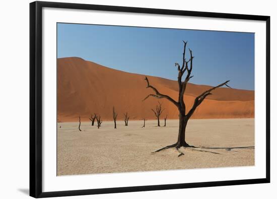 The Dead Acacia Trees of Deadvlei at Sunrise-Alex Saberi-Framed Photographic Print