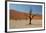 The Dead Acacia Trees of Deadvlei at Sunrise-Alex Saberi-Framed Photographic Print