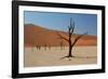 The Dead Acacia Trees of Deadvlei at Sunrise-Alex Saberi-Framed Photographic Print