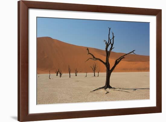 The Dead Acacia Trees of Deadvlei at Sunrise-Alex Saberi-Framed Photographic Print