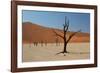 The Dead Acacia Trees of Deadvlei at Sunrise-Alex Saberi-Framed Photographic Print