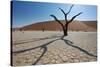 The Dead Acacia Trees of Deadvlei at Sunrise-Alex Saberi-Stretched Canvas