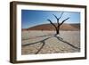 The Dead Acacia Trees of Deadvlei at Sunrise-Alex Saberi-Framed Photographic Print