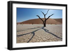 The Dead Acacia Trees of Deadvlei at Sunrise-Alex Saberi-Framed Photographic Print