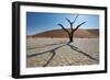 The Dead Acacia Trees of Deadvlei at Sunrise-Alex Saberi-Framed Photographic Print