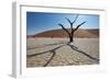 The Dead Acacia Trees of Deadvlei at Sunrise-Alex Saberi-Framed Photographic Print