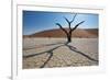 The Dead Acacia Trees of Deadvlei at Sunrise-Alex Saberi-Framed Photographic Print