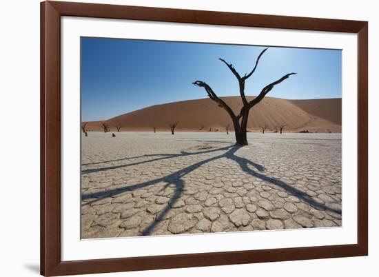 The Dead Acacia Trees of Deadvlei at Sunrise-Alex Saberi-Framed Photographic Print