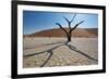 The Dead Acacia Trees of Deadvlei at Sunrise-Alex Saberi-Framed Photographic Print