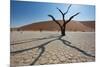 The Dead Acacia Trees of Deadvlei at Sunrise-Alex Saberi-Mounted Photographic Print