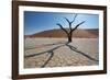 The Dead Acacia Trees of Deadvlei at Sunrise-Alex Saberi-Framed Photographic Print