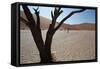 The Dead Acacia Trees of Deadvlei at Sunrise-Alex Saberi-Framed Stretched Canvas