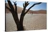 The Dead Acacia Trees of Deadvlei at Sunrise-Alex Saberi-Stretched Canvas