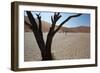 The Dead Acacia Trees of Deadvlei at Sunrise-Alex Saberi-Framed Photographic Print