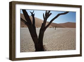 The Dead Acacia Trees of Deadvlei at Sunrise-Alex Saberi-Framed Photographic Print