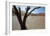 The Dead Acacia Trees of Deadvlei at Sunrise-Alex Saberi-Framed Photographic Print