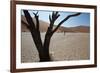 The Dead Acacia Trees of Deadvlei at Sunrise-Alex Saberi-Framed Photographic Print