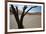 The Dead Acacia Trees of Deadvlei at Sunrise-Alex Saberi-Framed Photographic Print