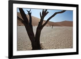 The Dead Acacia Trees of Deadvlei at Sunrise-Alex Saberi-Framed Photographic Print