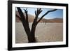 The Dead Acacia Trees of Deadvlei at Sunrise-Alex Saberi-Framed Photographic Print